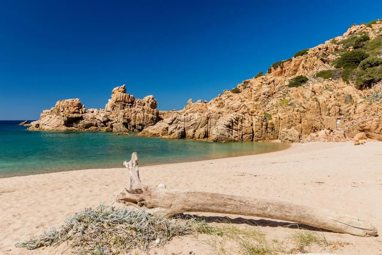 Villa In Sardinia With Sea View - Arielle 帕拉迪索海岸 意大利
